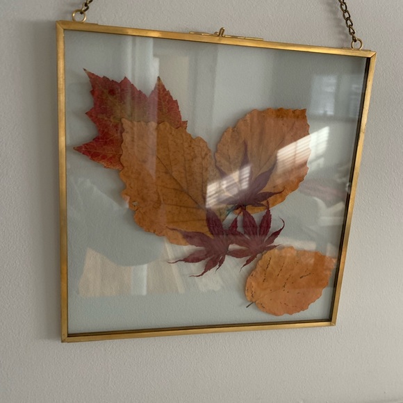 Pressed Fall Leaves Art - Picture 3 of 6